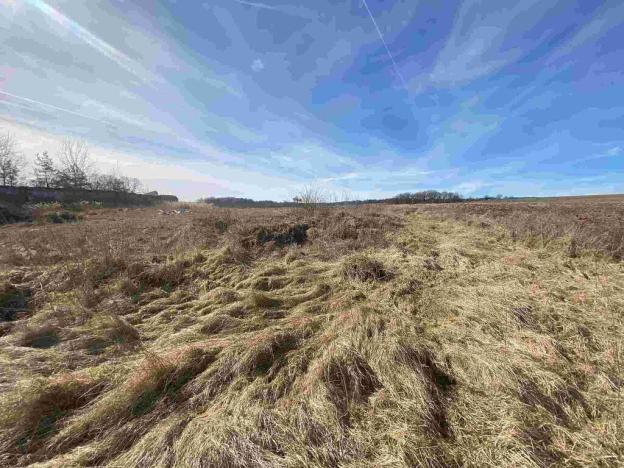 Prodej pole, Františkovy Lázně, 15408 m2