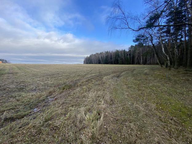 Prodej pozemku, Kaplice - Pořešín, 11526 m2