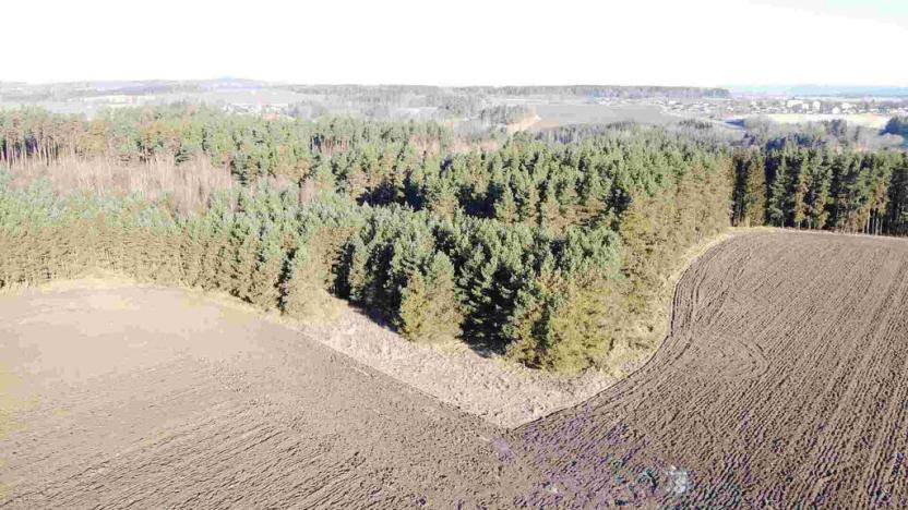 Prodej pole, Kočov - Klíčov, 3847 m2