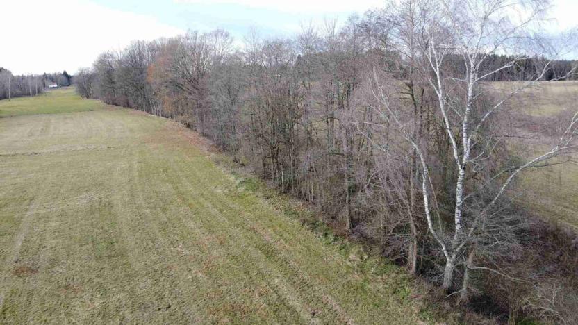 Prodej pozemku, Dolní Dvořiště - Trojany, 18915 m2