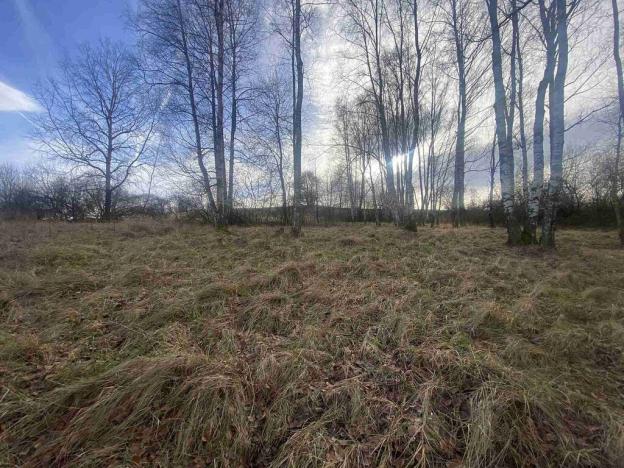 Prodej pozemku, Dolní Dvořiště - Trojany, 18915 m2