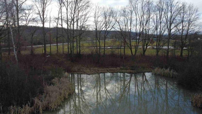 Prodej pozemku, Nové Hrady - Štiptoň, 35772 m2