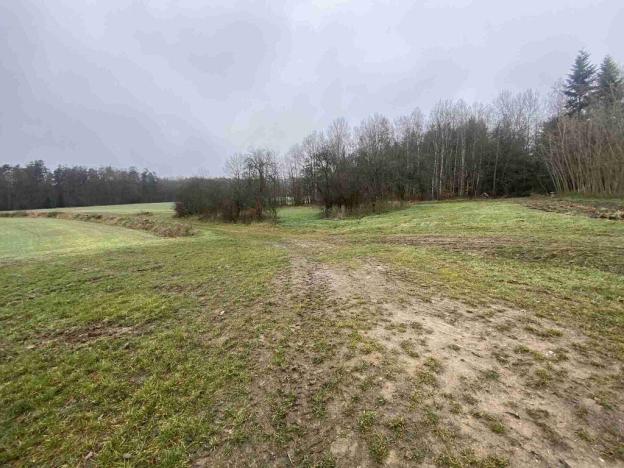 Prodej pozemku, Hosín - Dobřejovice, 10244 m2