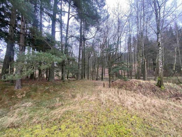 Prodej pozemku, Hosín - Dobřejovice, 10244 m2