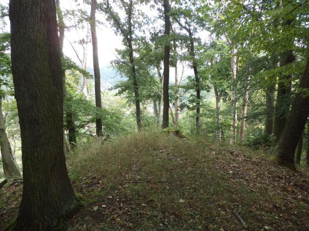 Prodej pole, Malé Březno, 14517 m2