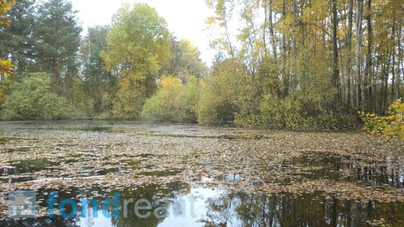 Prodej pozemku, Nová Ves nad Lužnicí, 10115 m2