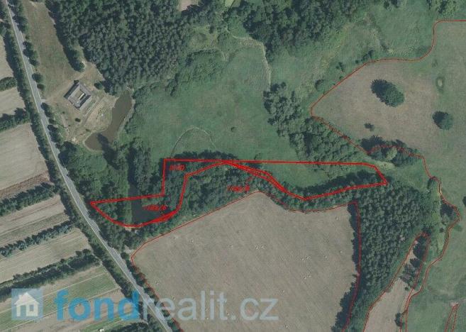 Prodej pozemku, Nová Ves nad Lužnicí, 10115 m2