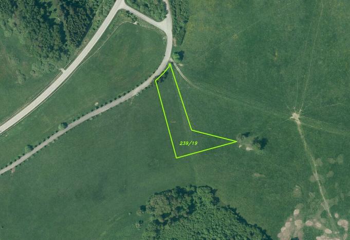 Prodej pozemku, Černá v Pošumaví, 6174 m2