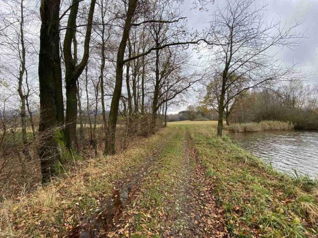 Prodej pozemku, Horní Stropnice - Svébohy, 1287 m2