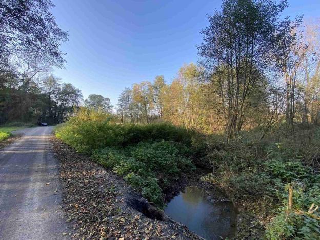 Prodej pozemku, Třebařov, 1031 m2