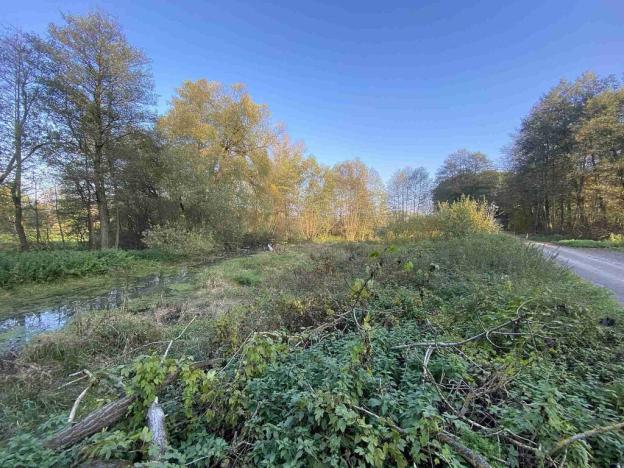 Prodej pozemku, Třebařov, 1031 m2