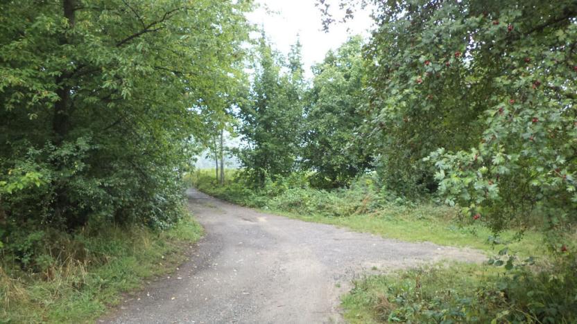 Prodej pozemku, Skuteč, 687 m2