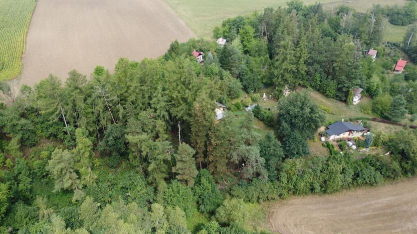 Prodej pozemku, Skuteč, 1714 m2