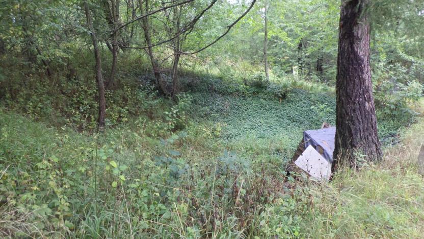 Prodej pozemku, Skuteč, 1714 m2