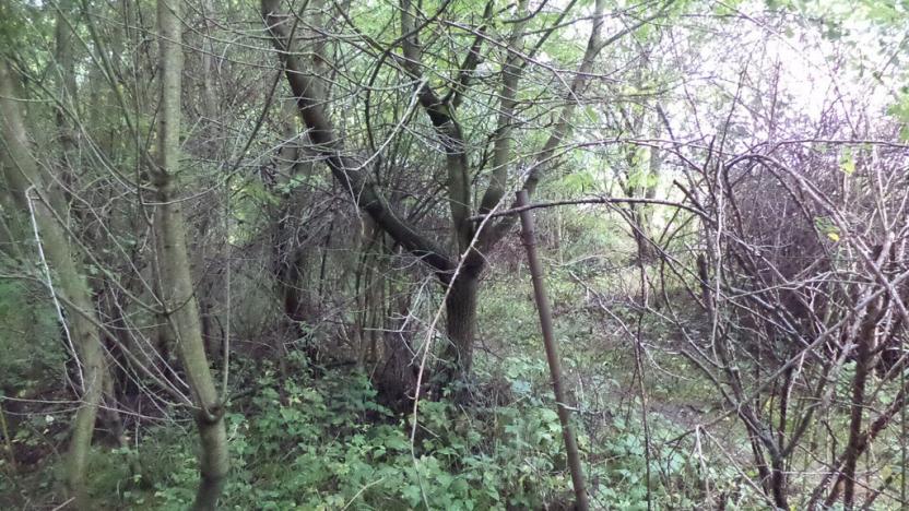 Prodej pozemku, Skuteč, 1714 m2