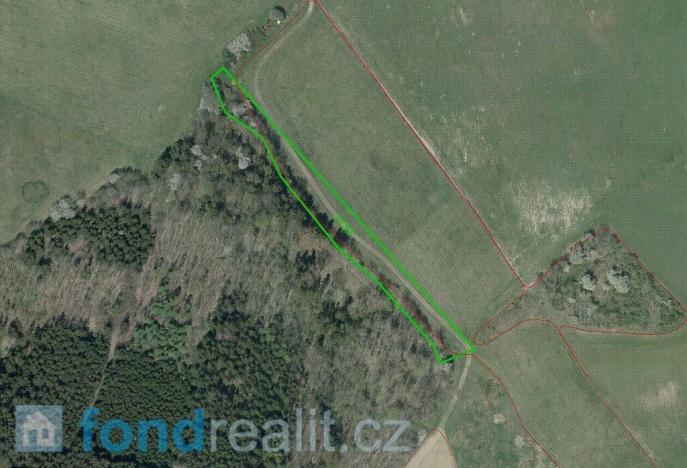 Prodej pole, Tachov, 55727 m2