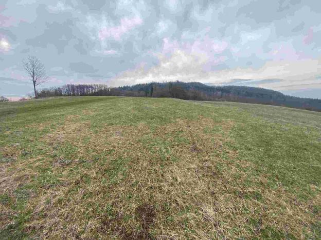 Prodej pole, Mírová pod Kozákovem, 20044 m2
