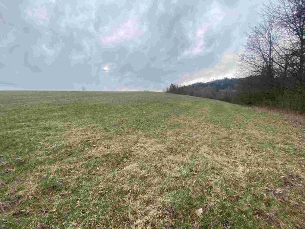 Prodej pole, Mírová pod Kozákovem, 20044 m2