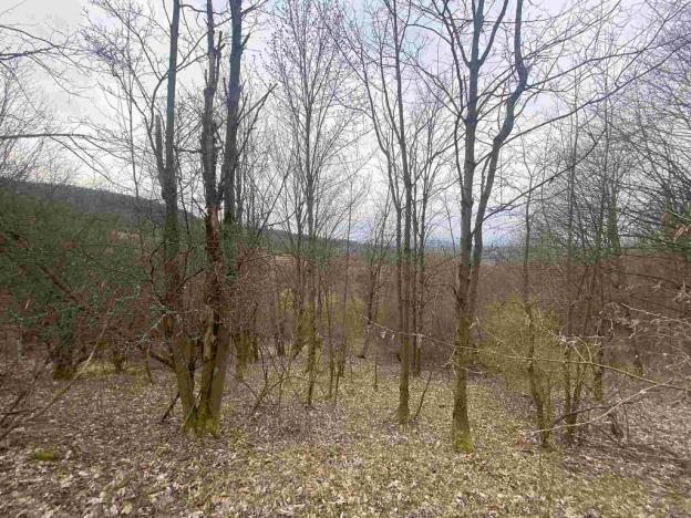 Prodej pole, Mírová pod Kozákovem, 20044 m2