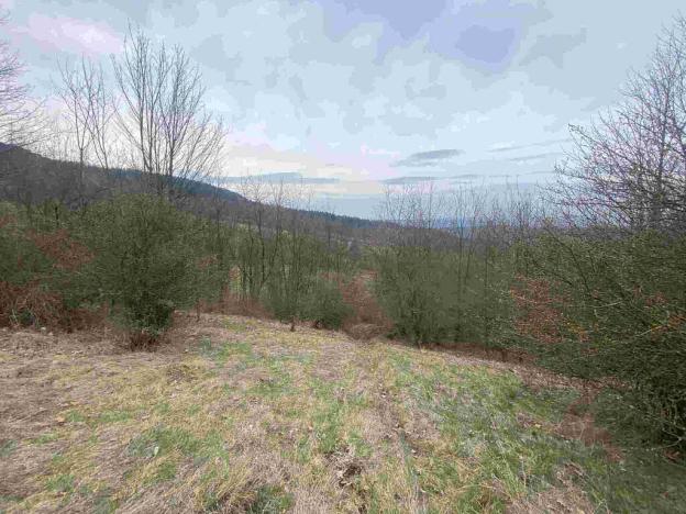 Prodej pole, Mírová pod Kozákovem, 20044 m2