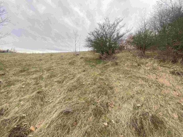 Prodej pole, Mírová pod Kozákovem, 20044 m2