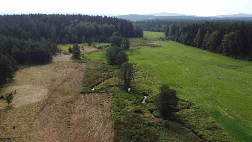 Prodej pole, Rozvadov, 52176 m2