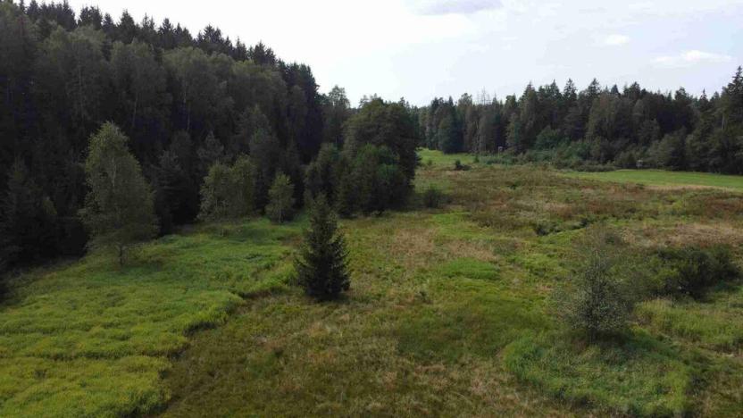 Prodej pole, Rozvadov, 52176 m2