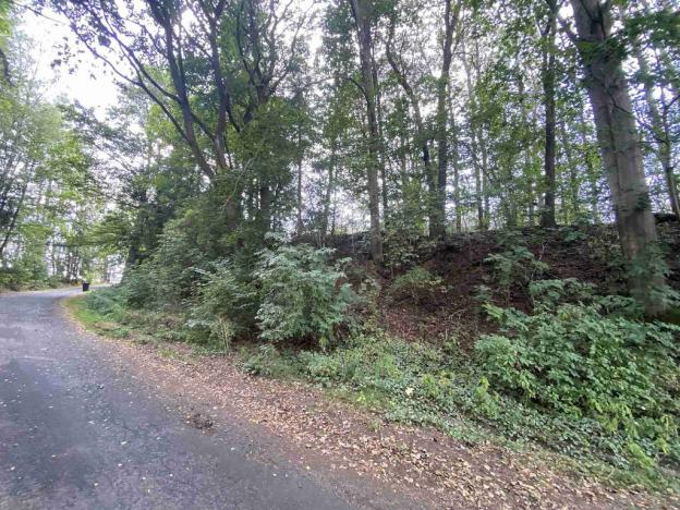 Prodej pozemku, Jindřichovice, 446 m2