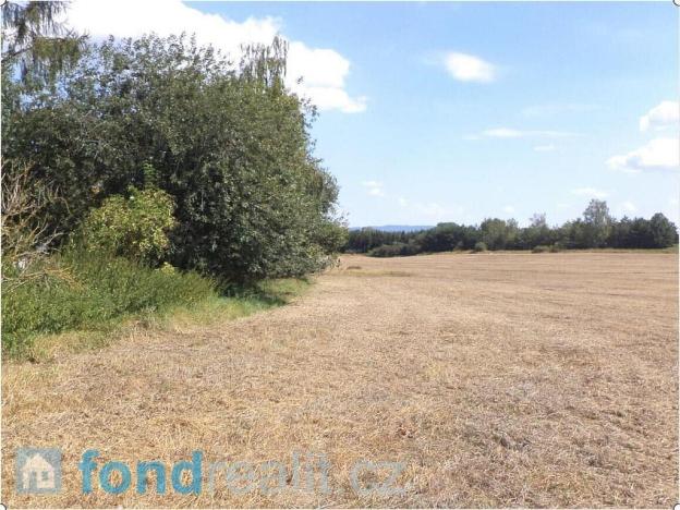 Prodej pole, Čejetice, 10968 m2
