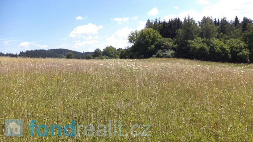 Prodej pole, Přídolí - Všeměry, 13471 m2