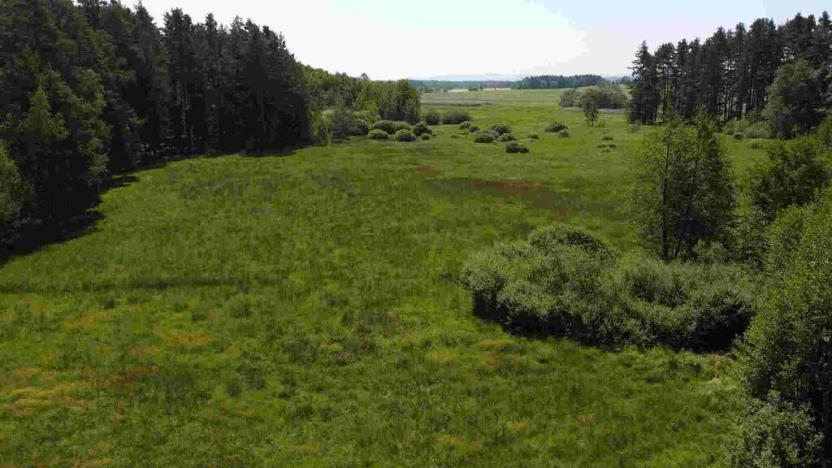 Prodej pozemku, Jílovice, 20535 m2