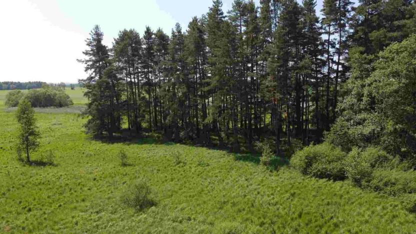 Prodej pozemku, Jílovice, 20535 m2