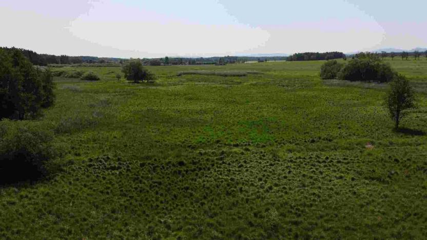 Prodej pozemku, Jílovice, 20535 m2