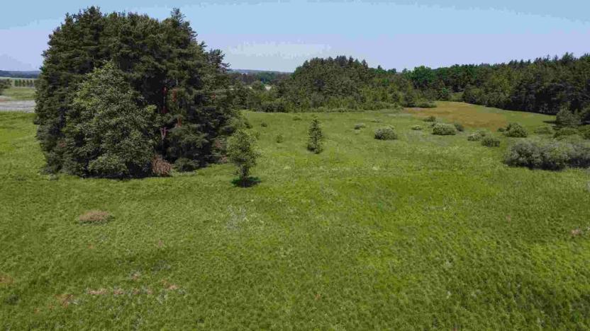 Prodej pozemku, Jílovice, 20535 m2