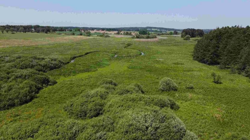 Prodej pozemku, Jílovice, 20535 m2