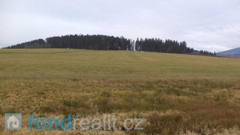 Prodej pole, Horní Planá, 45926 m2