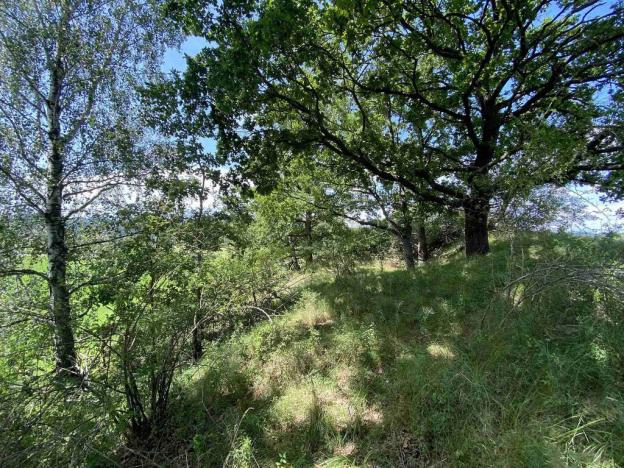 Prodej pole, Lhenice - Hrbov, 55481 m2