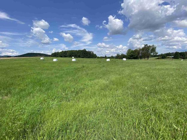 Prodej pole, Lhenice - Hrbov, 55481 m2