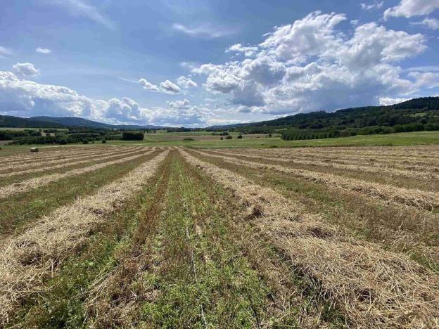 Prodej pole, Lhenice - Hrbov, 55481 m2