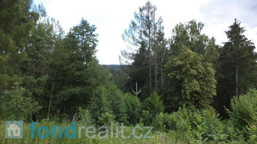 Prodej pozemku, Nové Hrady, 766 m2