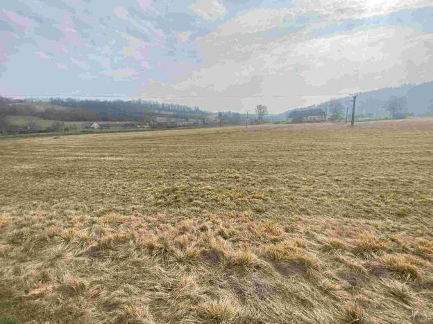 Prodej pozemku, Linhartice, 15629 m2