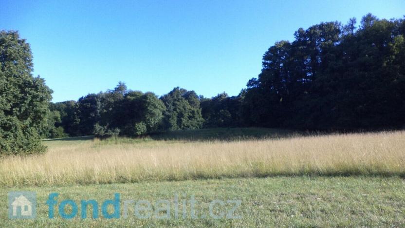 Prodej pozemku, Tvarožná Lhota, 3636 m2