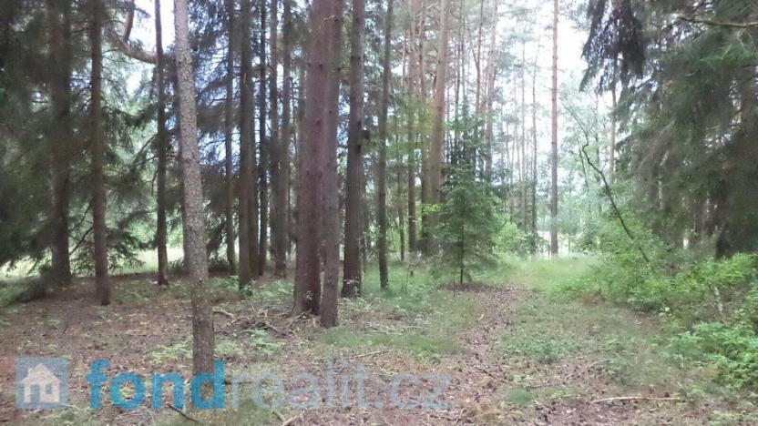 Prodej pole, Číměř, 19541 m2