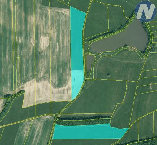 Prodej podílu louky, Němčice, 182831 m2