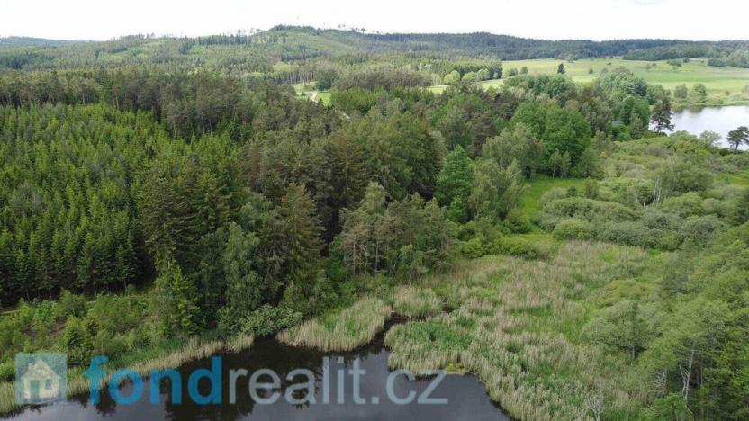 Prodej pozemku, Slavonice - Stálkov, 27662 m2