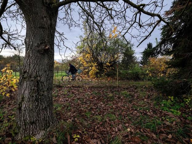 Prodej rodinného domu, Soběšín, 90 m2