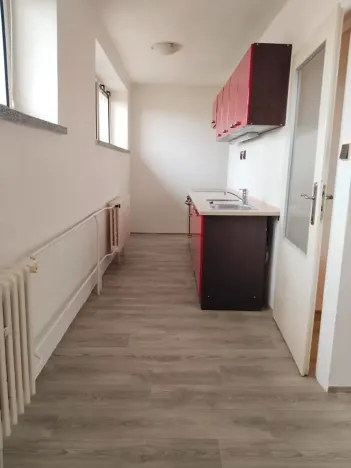 Pronájem bytu 2+kk, Kozojedy, 46 m2
