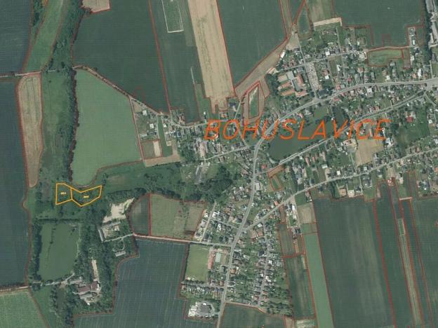 Dražba louky, Bohuslavice, 8942 m2