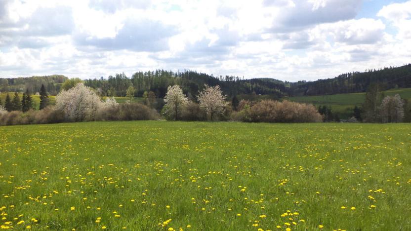 Prodej pozemku, Vítkov, 5357 m2