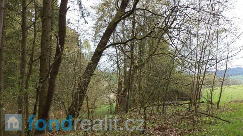 Prodej pole, Bělá nad Radbuzou, 1208 m2